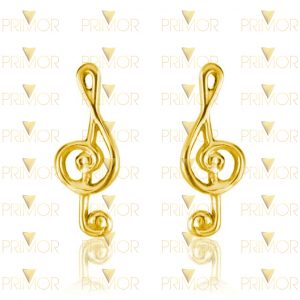 Brinco em ouro modelo Clave de Sol 16mm vazado BR030