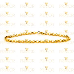 Tornozeleira em ouro modelo Portuguesa com 27cm TN001